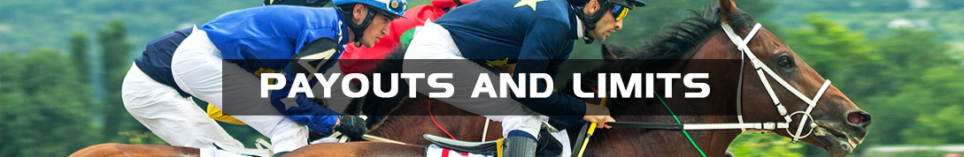 Racebook Payouts and Limits
